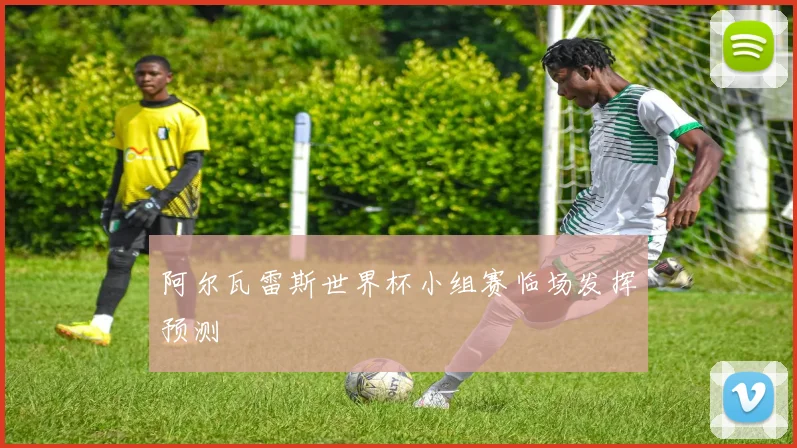 阿尔瓦雷斯世界杯小组赛临场发挥预测