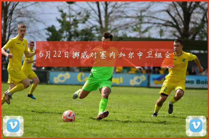 6月22日挪威对塞内加尔中卫组合