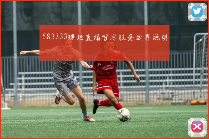 583333现场直播官方服务边界说明