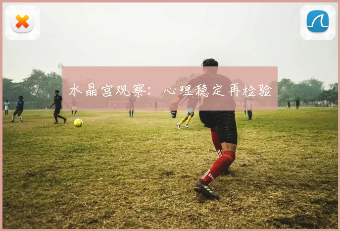 水晶宫观察：心理稳定再检验