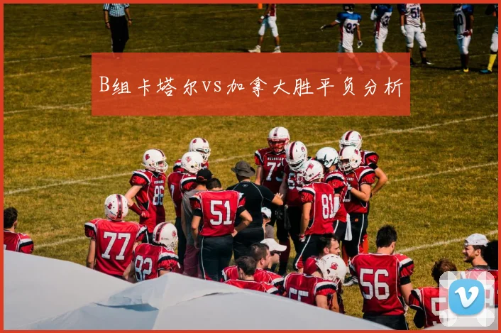 B组卡塔尔vs加拿大胜平负分析