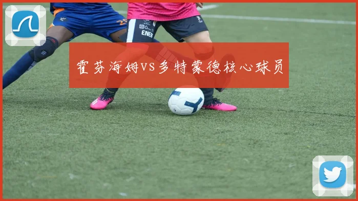 霍芬海姆vs多特蒙德核心球员